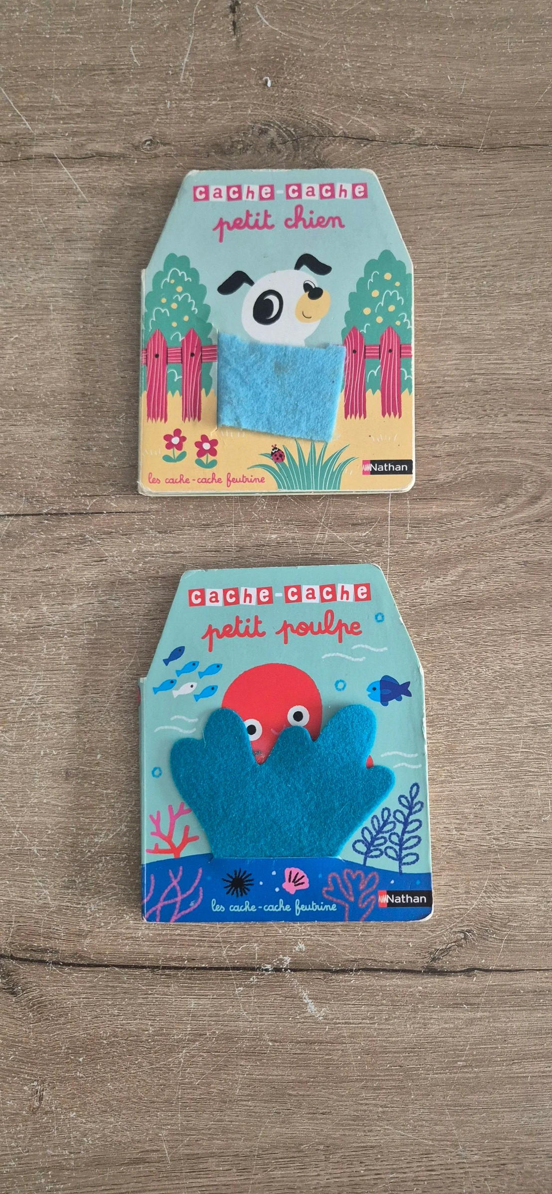 Lot livres Cache-cache en feutrine 